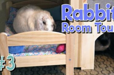 RABBIT ROOM TOUR 3 - Best Bunny Setups!