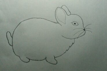 How to draw a baby rabbit, with pencil.