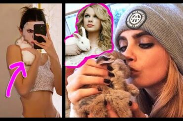 13 Celebrities Who Have the Cutest Pet Bunnies!