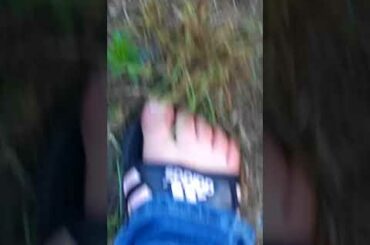 Cute bunny so adorable