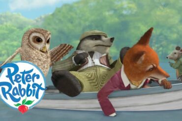 Peter Rabbit - Mr Tod, Tommy Brock and Old Brown Join Forces | Cartoons for Kids