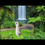 CONEJO-BALA Travesuras de Blanquita/ Funny Cute Bunny