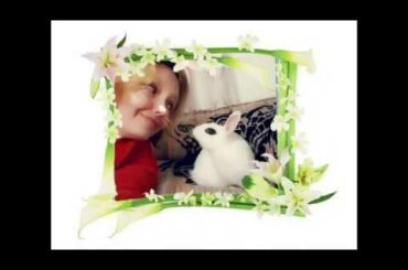 Fotos conejita Blanquita PHOTOS BUNNY