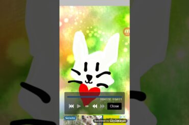 Cute bunny speedpaint 🐰❤