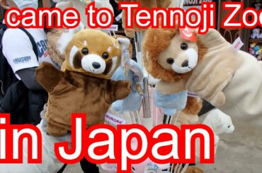 introducing Tennnoj Zoo in Osaka Japan ［rabbit is cute］