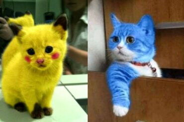 Cute baby animals Videos - funny animal 2020 - Soo Cute! #45