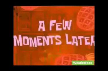 Funny rabbit 😂cute rabbit