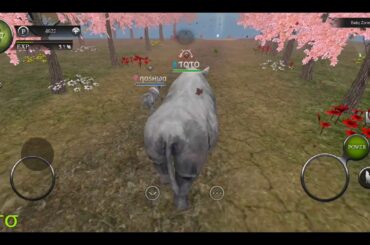 GETTING A BABY 𝙳ση₭εყ and RABBIT. Wild Animals Online. ƬOƬO & ηαsнωα.