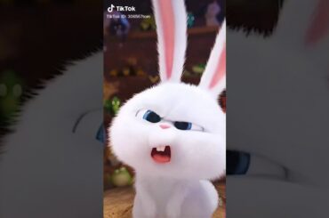 Cute bunny 🐰 ❤️💚💜