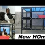 New Home Raising🐇Rabbit🐇🐇 How to Build Easy Rabbit House||🐇🐇 rabbit setup