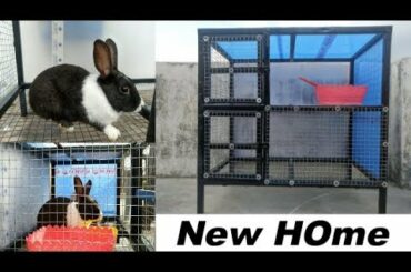 New Home Raising🐇Rabbit🐇🐇 How to Build Easy Rabbit House||🐇🐇 rabbit setup