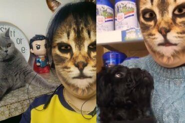 Cute baby animals Videos - funny animal 2020 - Soo Cute! #63