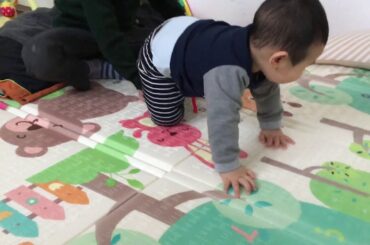 This is Louie 8 months old