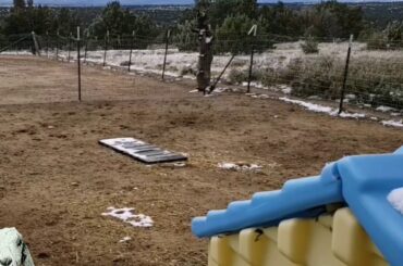 Dylan, Willow and Hannah playing together