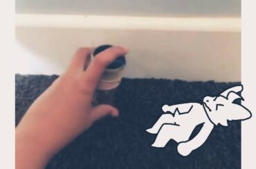 Cute baby bunny…!!