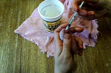 How to syringe or bottle feed a baby bunny rabbit