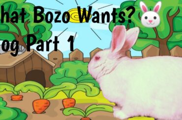 What Bozo Wants?|Vlog-1|Entertainment video|2020