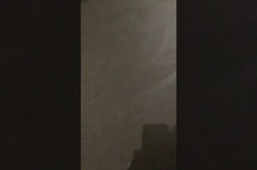 Look how cute my bunny is!!