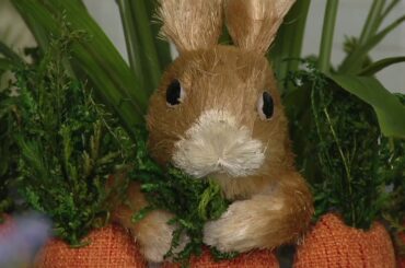 Carrot Basket with Peeking Sisal Bunny by Valerie on QVC