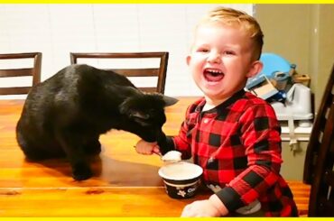Funny Baby and Pets Playing Together - Hilarious Fails