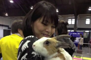 Bunny Rabbit Pet Expo 2020  Nice Video For Pets Lovers