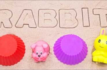 Let's Learn Cute Rabbit Words in English! Follow the Alphabet!