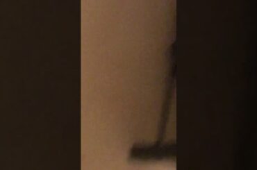 Cute rabbit running around