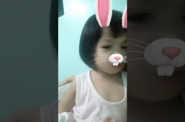 ate shane cute rabbit