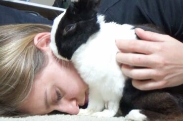 Rabbit Sneezes in Girl's Ear