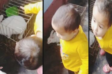 Talking And Playing With Cute  White Rabbit 🐇 😊