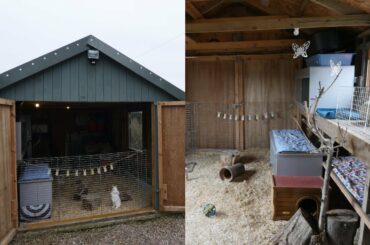 Rabbit Shed Tour | February 2020