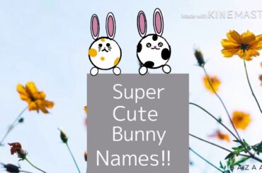 Cute Bunny Names!! Food Planets Human Names etc.
