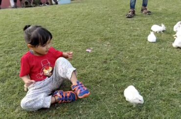 Little kid and baby rabbit - pet animal baby rabbit