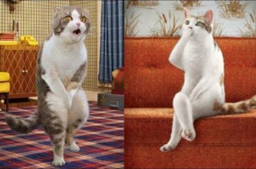 Cute baby animals Videos - funny animal 2020 - Soo Cute! #100