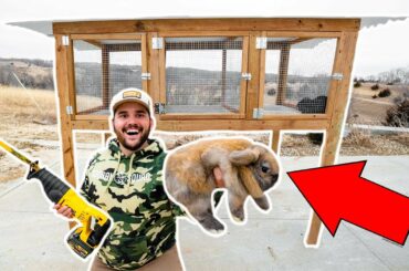 BUILDING a RABBIT HOUSE for My BACKYARD FARM!!