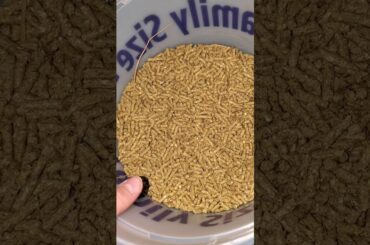 🐇I GOT A BUNNY🐇