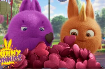 SUNNY BUNNIES - A Valentine's Treasure | Season 4 | Cartoons for Children
