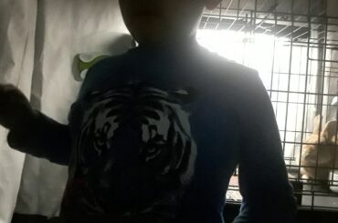 The cutest  and the funniest bunny