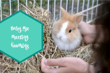 FIRST ENCOUNTER WITH BABY RABBIT -  TAD THE RABBIT