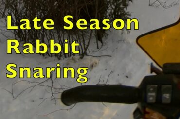 Late Season Rabbit Snaring Pen Sets