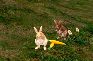 Ultimate Rabbit Simulator Gameplay (Android)