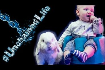 Bunny Vs Baby... Who’s Cuter? | Day in the #UnchainedLife