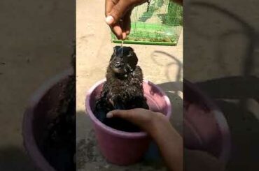 Cute rabbit(Mr. Boo) - Mazza aagya naha krr🤗🥰😍🤩