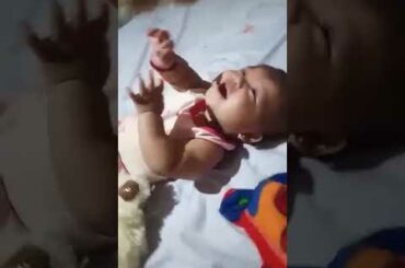 Rabbit versus Bear the cute-off