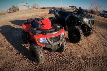 The Cutest Baby Bunnies and new ATVs