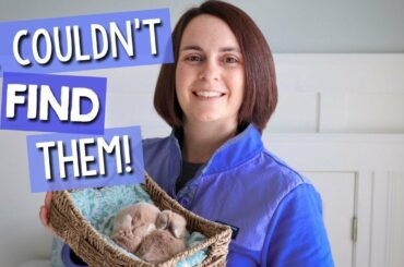 She HID HER BABY BUNNIES!