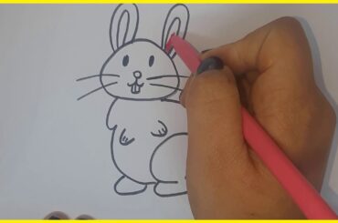 How to Draw a Cute Baby Rabbit– For Kids