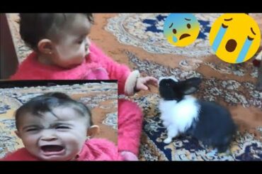 Rabbit Bite Baby hand