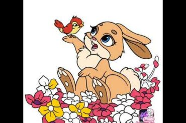 A cute rabbit with a cute Bird🐦🐦