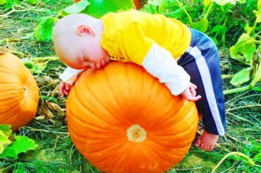 Nette Baby  und Kürbis Zusammenstellung - Funny Awesome